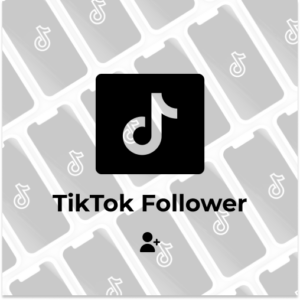 TikTok-Follower kaufen